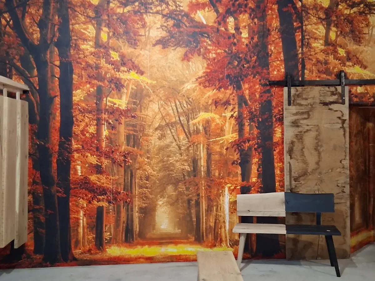 Ausstellungsraum mit Waldtapete und Holzbank