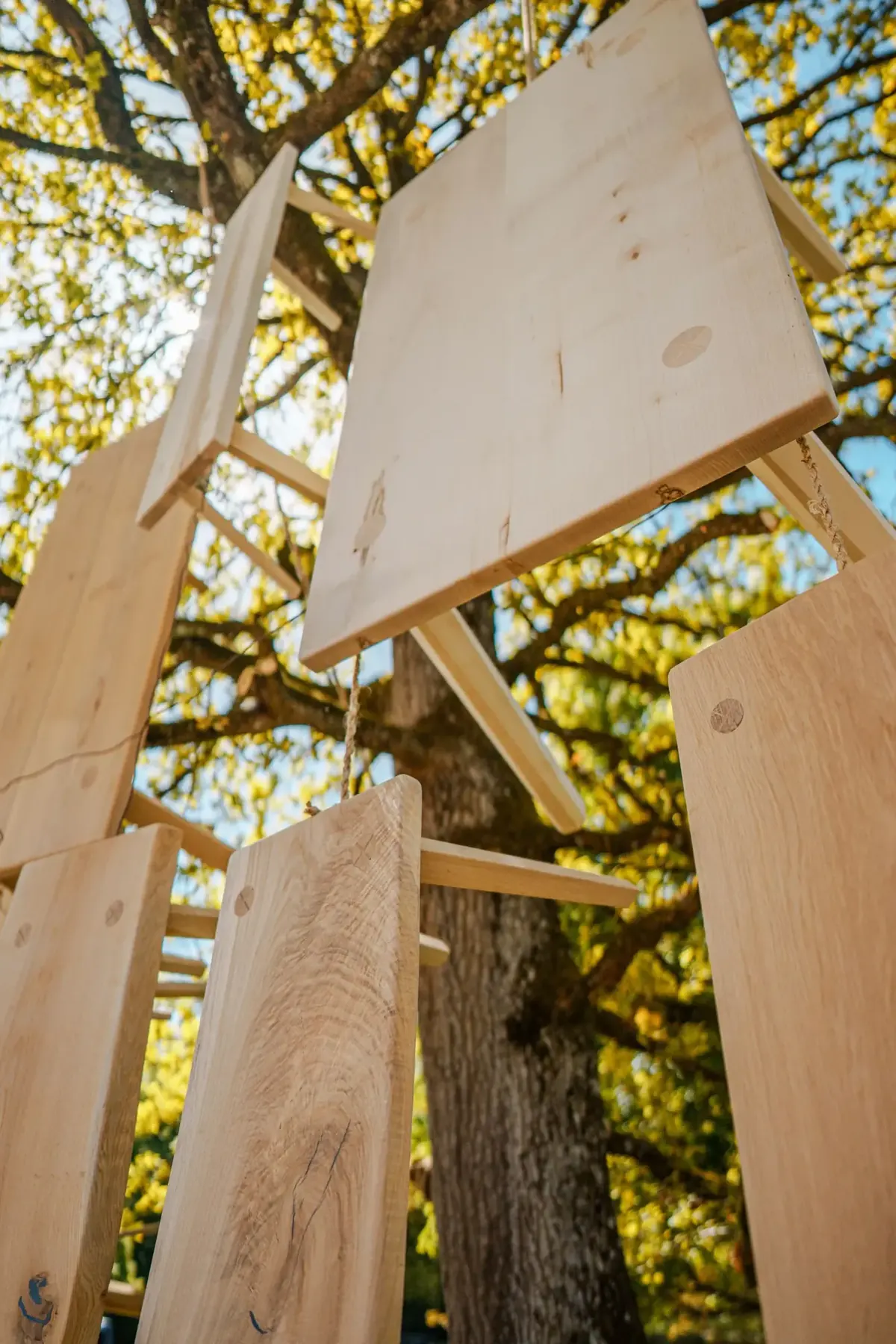 Holzplatten und Xaverl-Gestelle an einem Baum