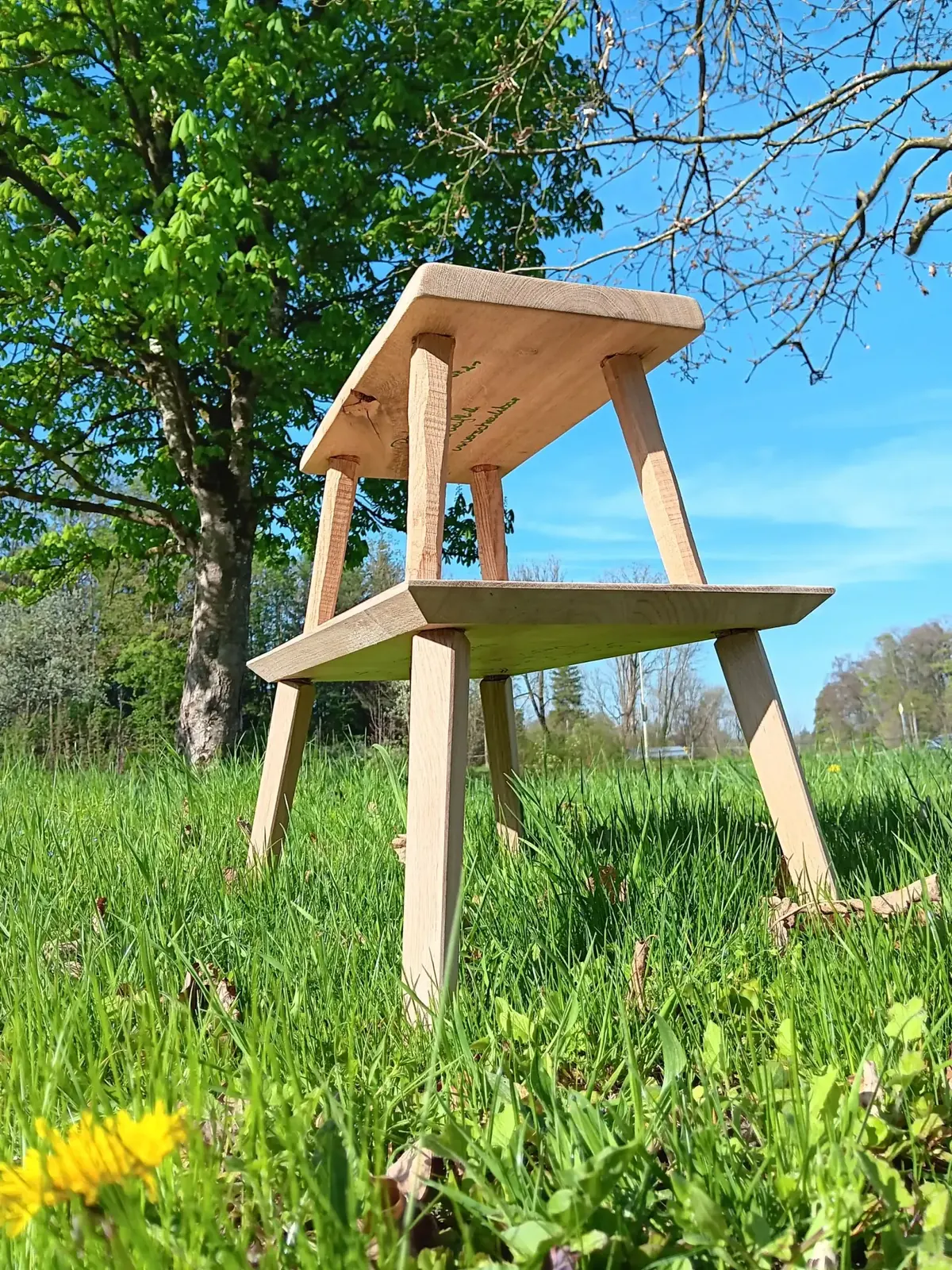 Kleiner Holzschemel auf einer grünen Wiese